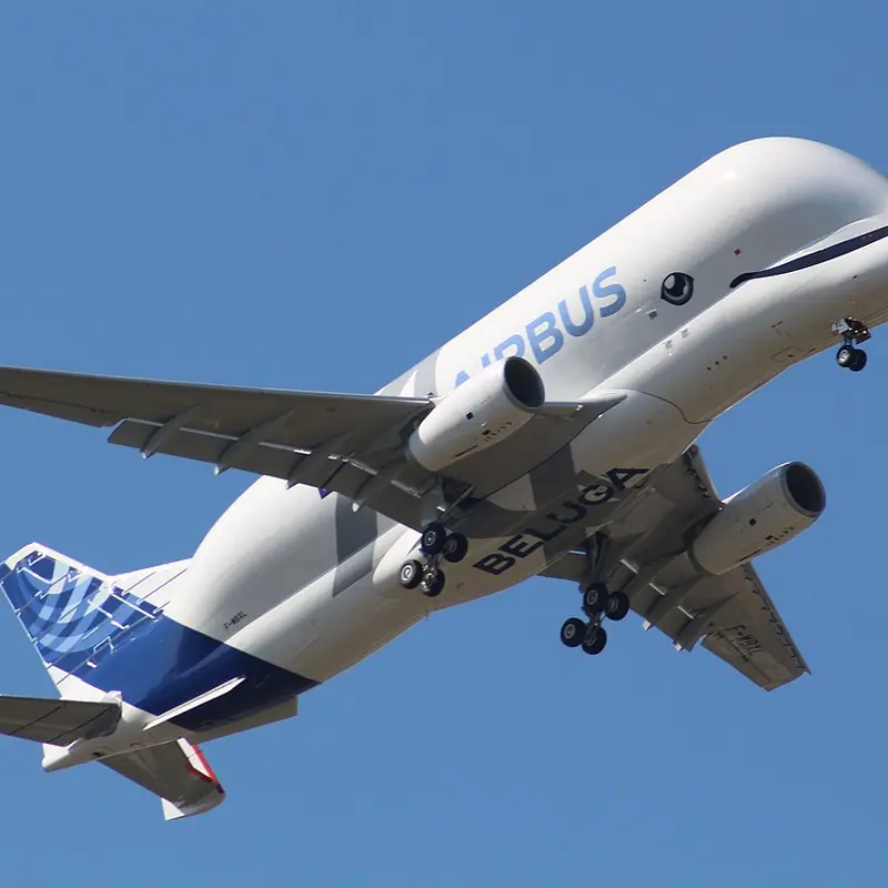 The €50 Million Translation Error That Grounded Airbus Planes