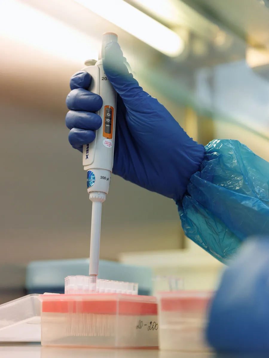 A gloved hand using a pipette in a laboratory