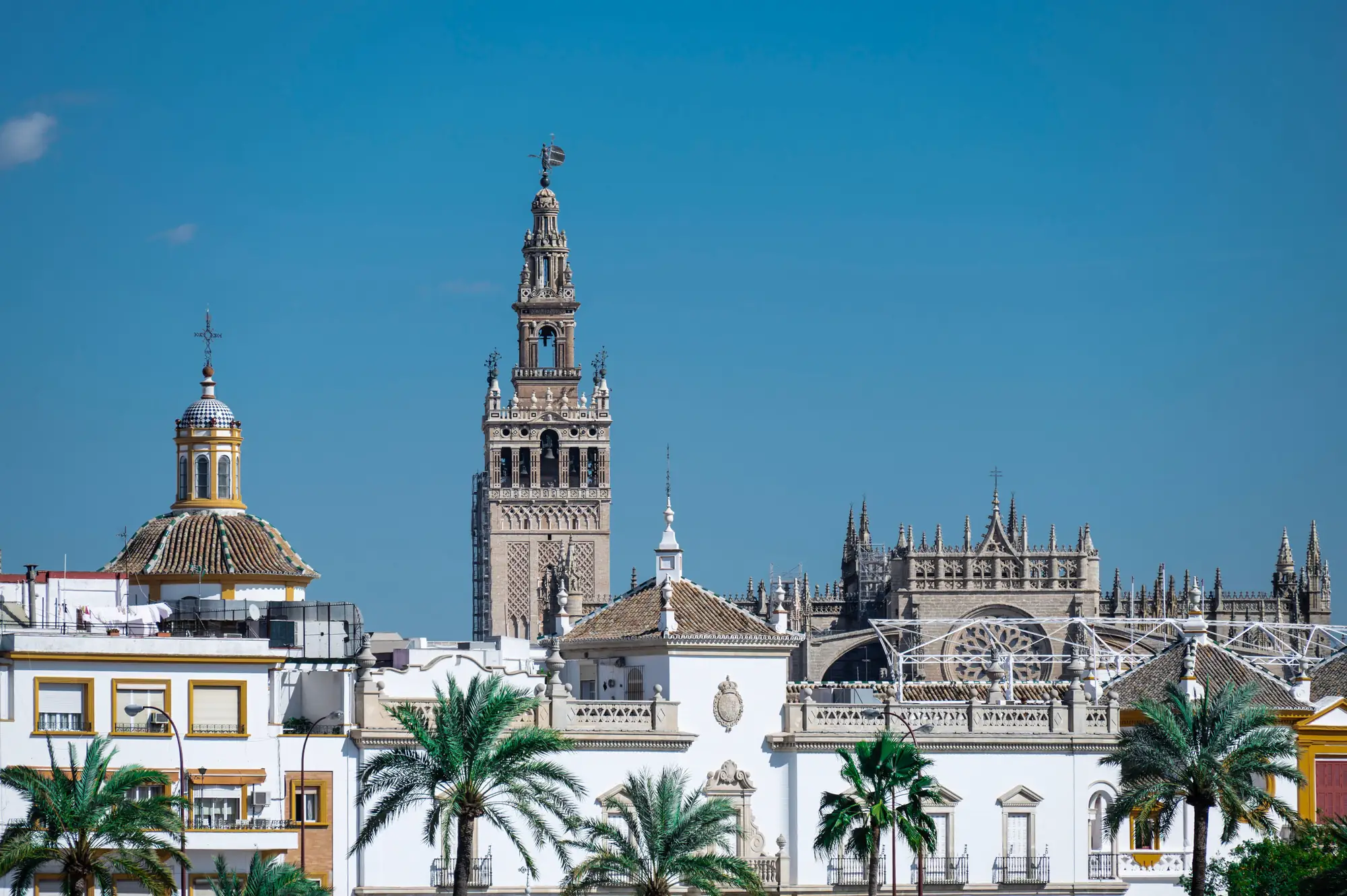 Spanish Driving Licence Translation