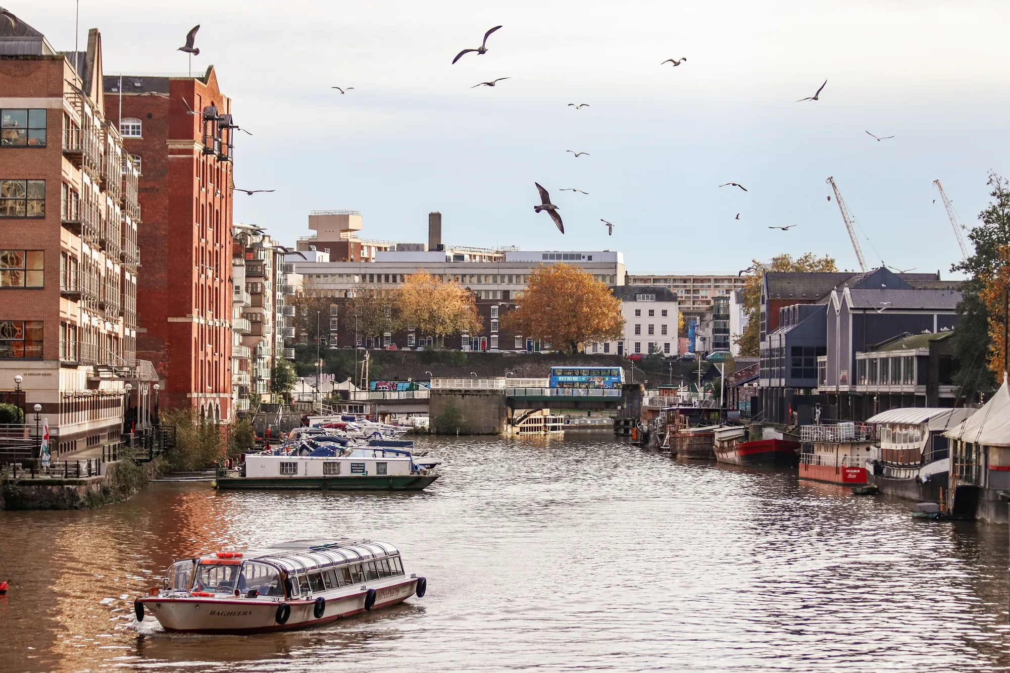 Legal translation services Bristol - certified document translation for courts and Home Office