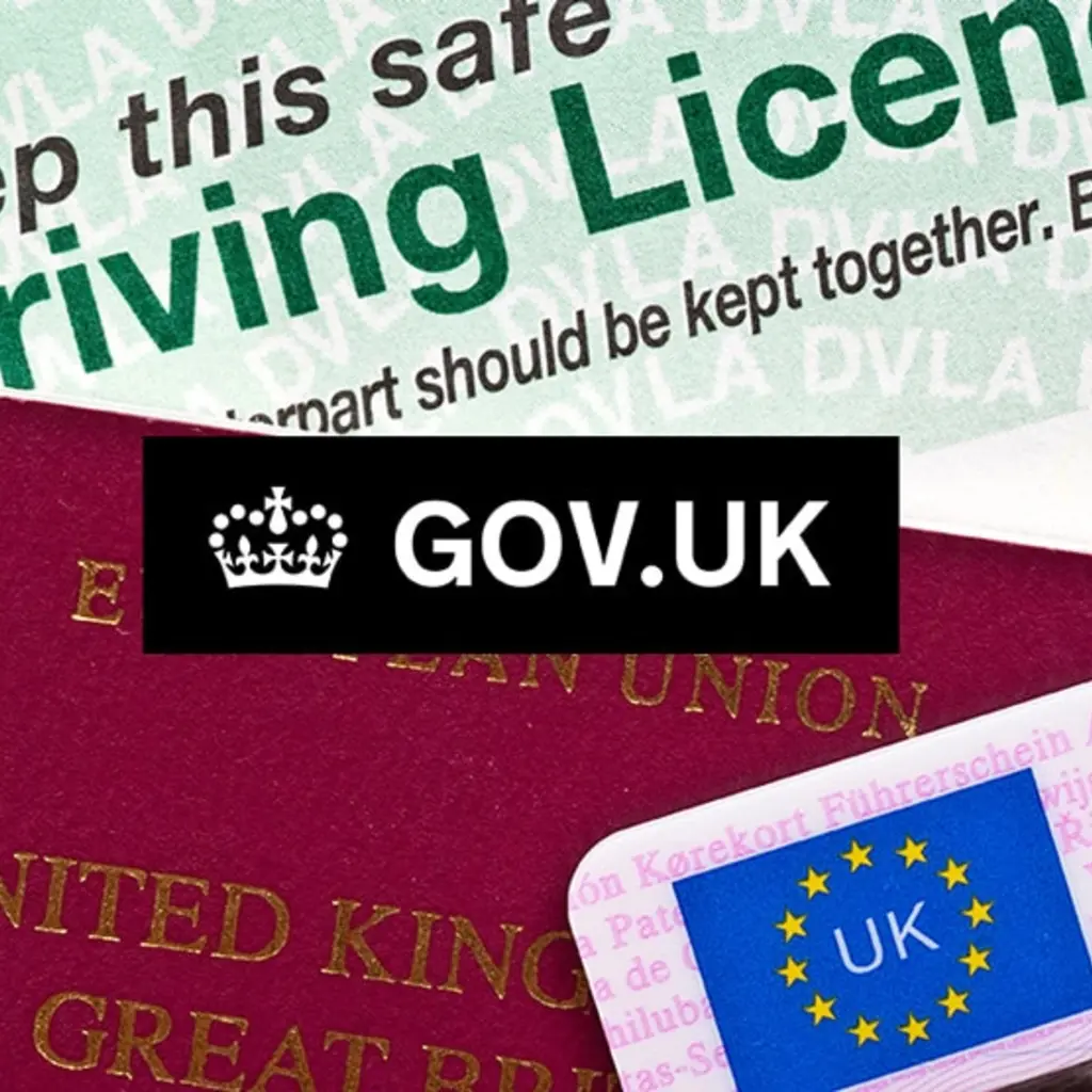 DVLA Translation Services